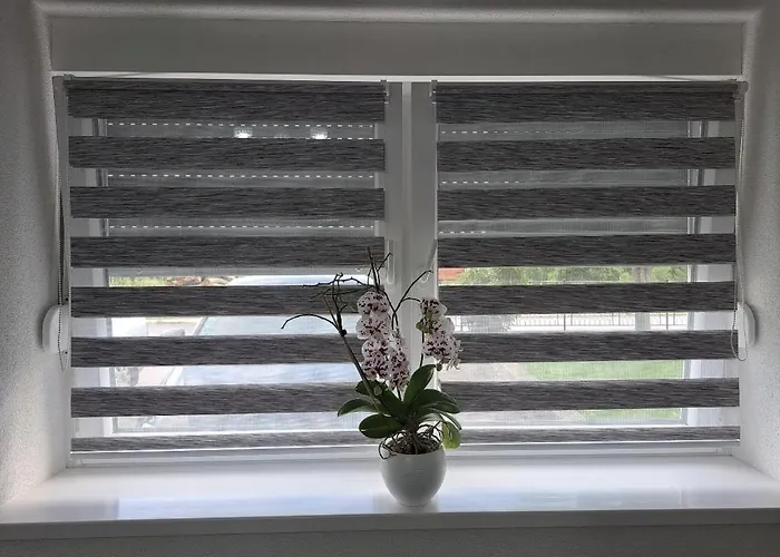 Apartman Ivo