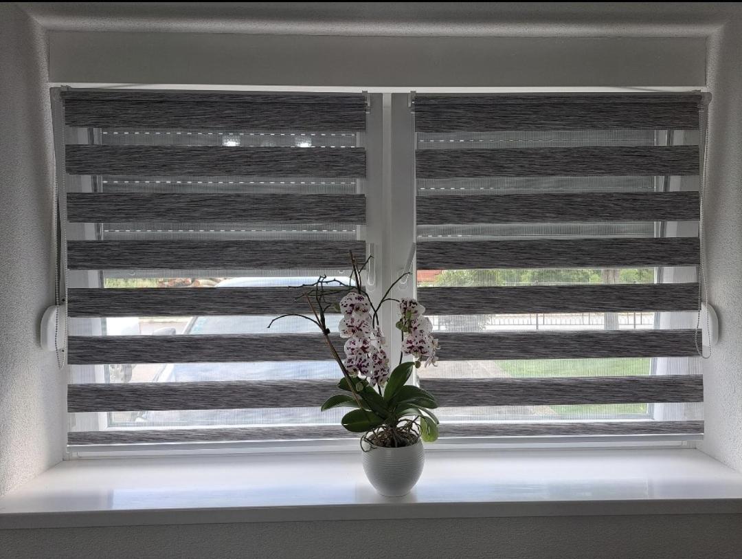 Ivo Apartment